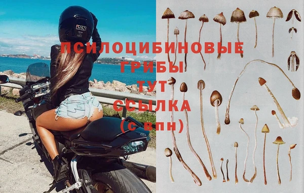 таблы Арсеньев