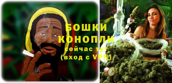 spice Аркадак