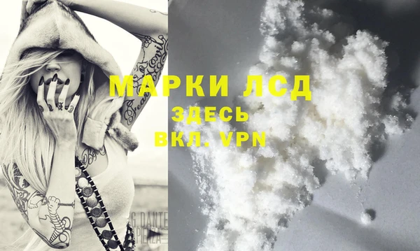 spice Аркадак