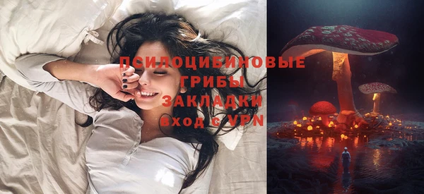 spice Аркадак