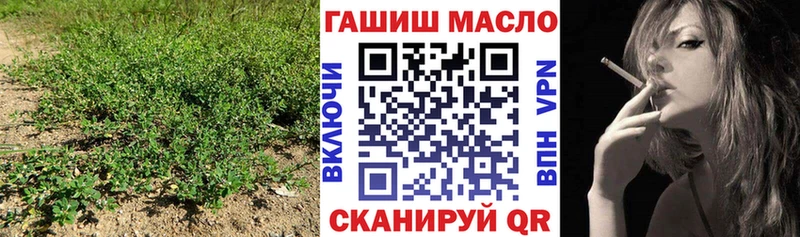 ТГК Wax shop официальный сайт Болохово